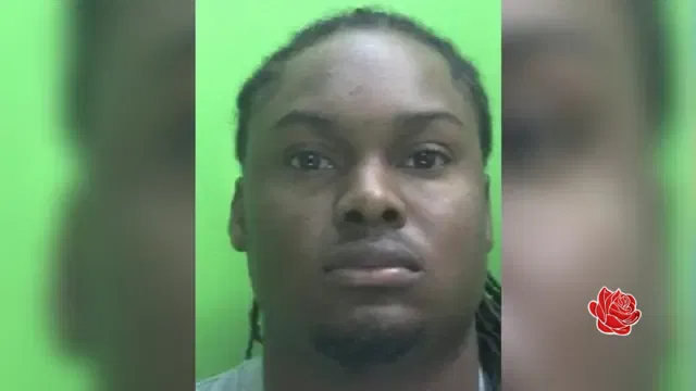 Profile image of Jordan Plummer