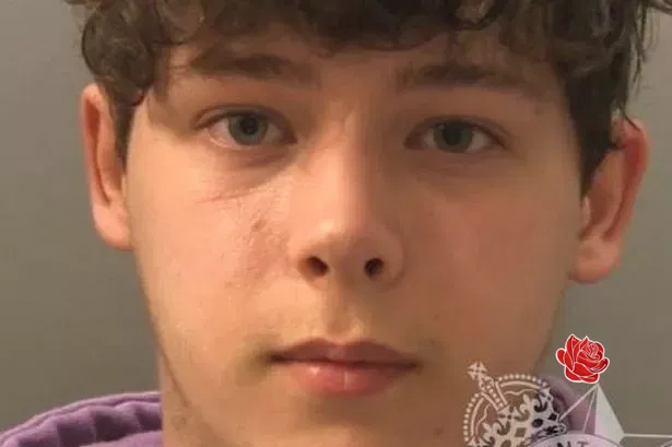 Profile image of Rhys Warren