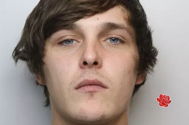 Profile image of Liam Williams