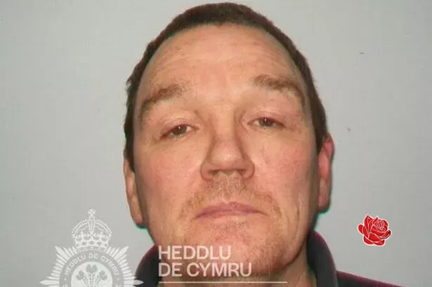 Profile image of Shaun Gallagher