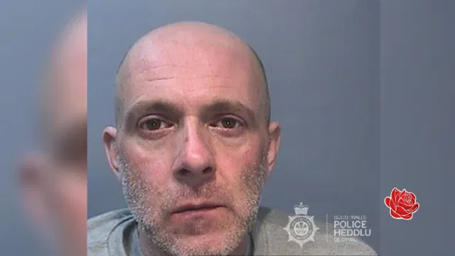 Profile image of Mathew Pickering