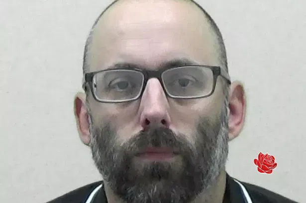 Profile image of Mark Hansen