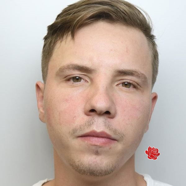 Profile image of David Tilici