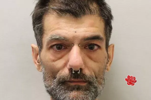 Profile image of Gorka Casanovas