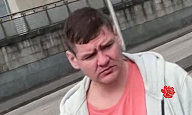 Profile image of James Taylor