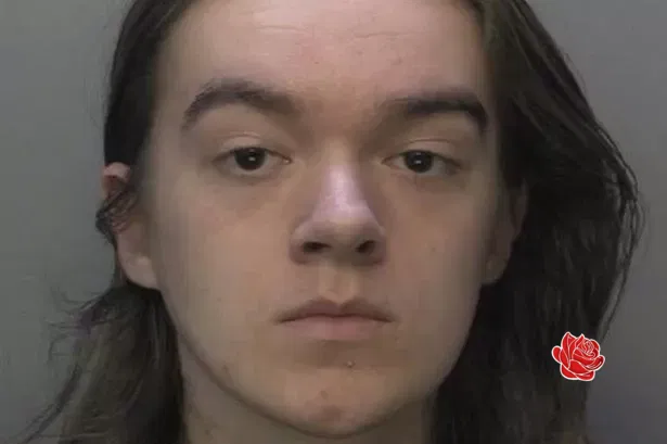 Profile image of Ryan Stone