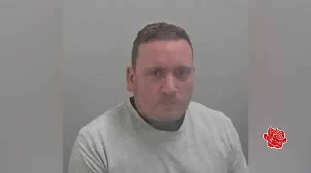 Profile image of Nicholas Peacock
