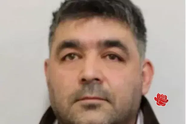 Profile image of Temur Shah