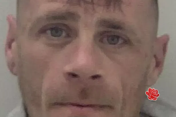 Profile image of Allan Law
