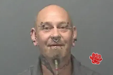 Profile image of Mark Forder