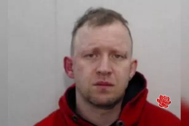 Profile image of Mark Thomson