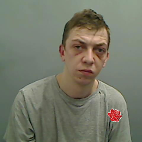 Profile image of Dylan Seago