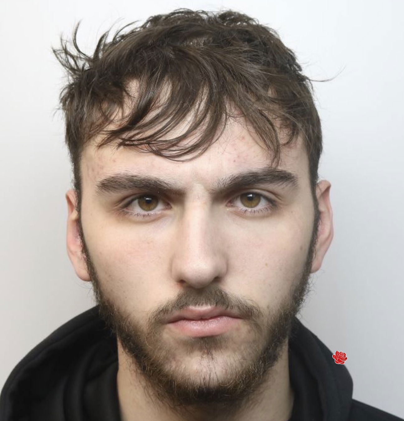 Profile image of Aiden Phipps