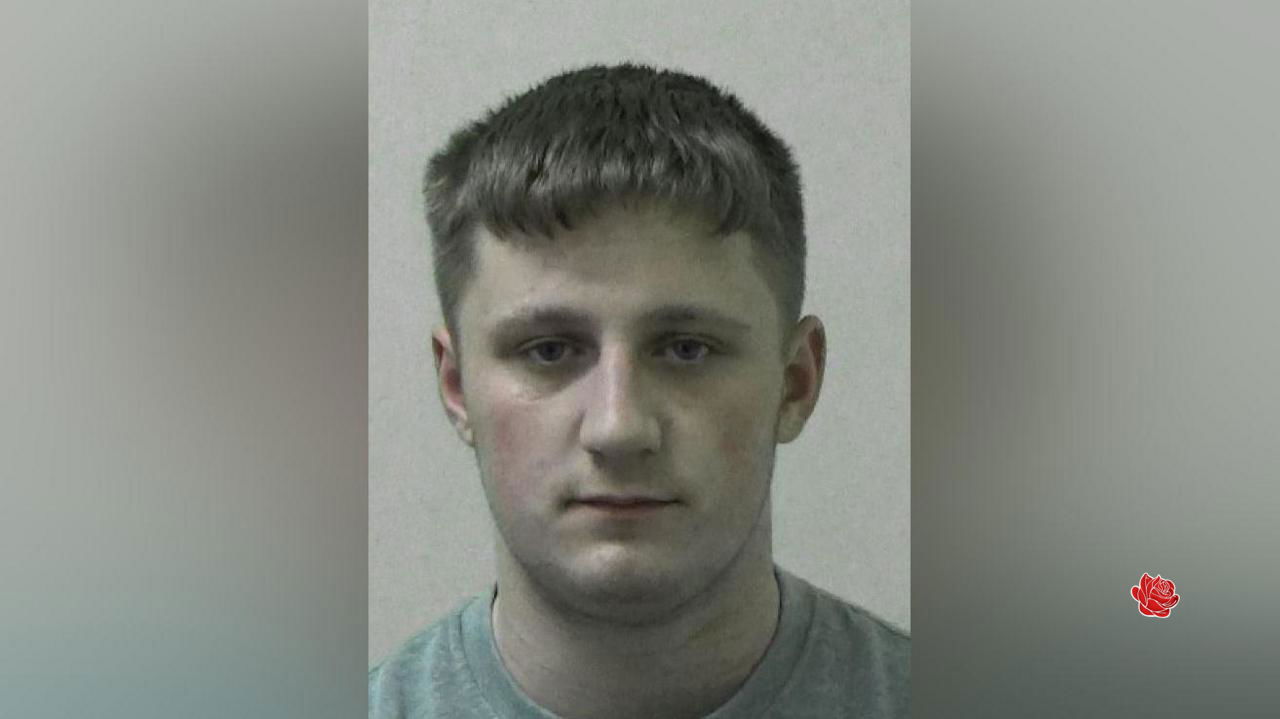 Profile image of Joshua Sullivan