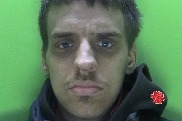 Profile image of Ashley Holmes
