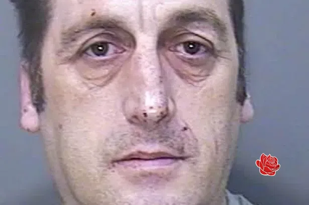 Profile image of Wayne Harford