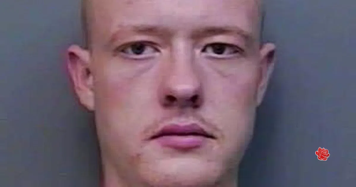 Profile image of Tom Davis