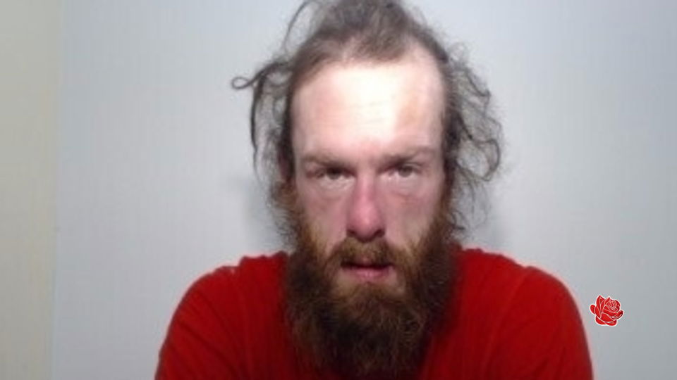 Profile image of Darren Roche