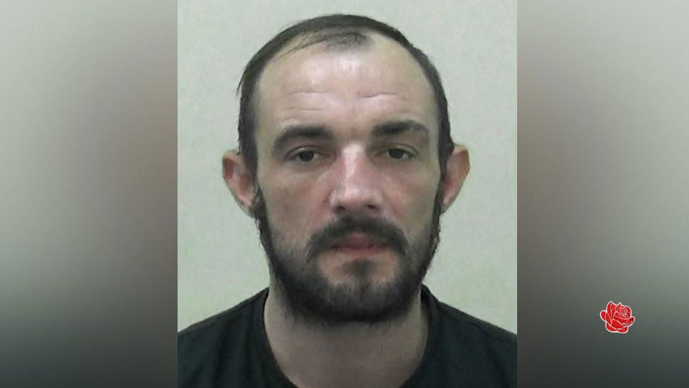 Profile image of Darren Cornish