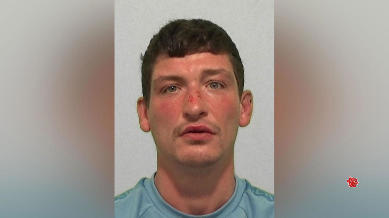 Profile image of Damien Kelly