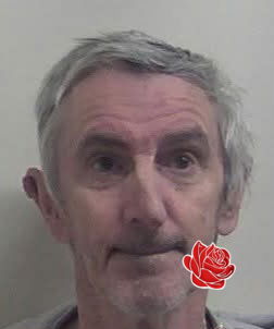 Profile image of David Johnson