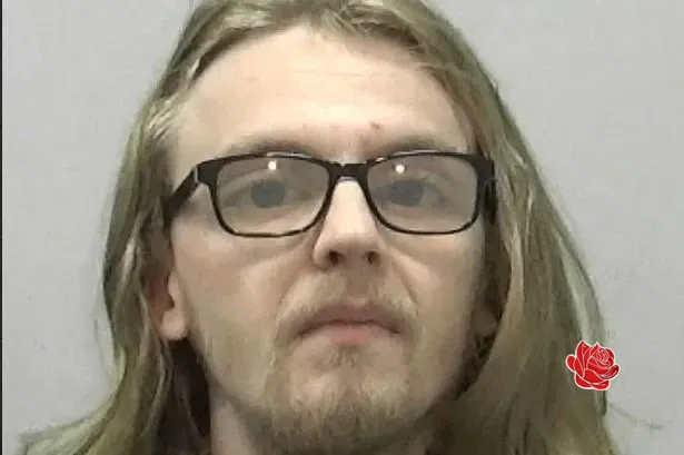 Profile image of Ryan Handleigh