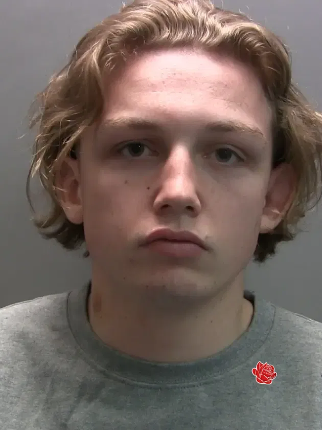 Profile image of Brian Watson