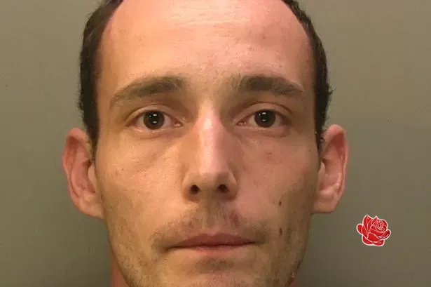 Profile image of Joshua Freestone