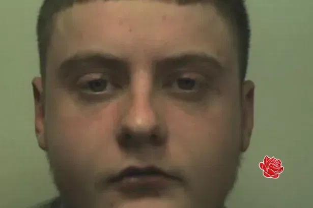Profile image of Joshua Tate Taylor