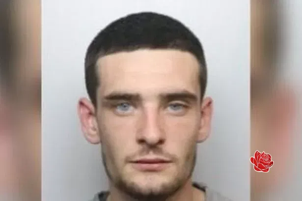Profile image of Kieran Webb