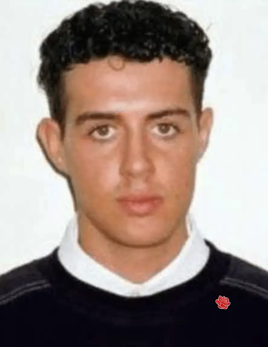 Profile image of Peter Reynolds