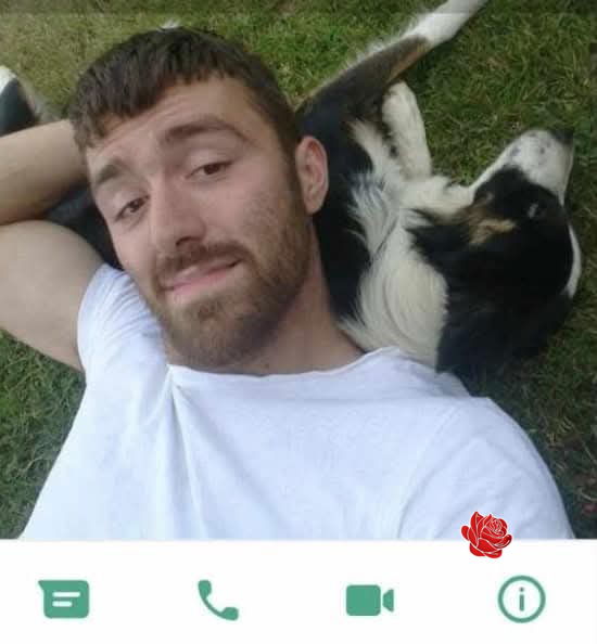 Profile image of David Stewart