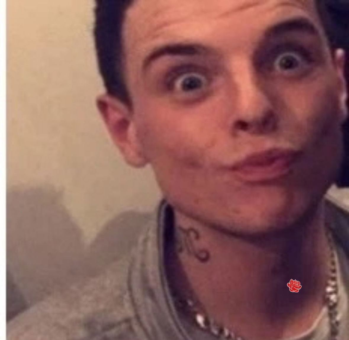 Profile image of CAMERON ALLAN, DYLAN BRISTER