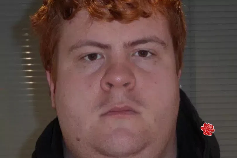 Profile image of David Thorne
