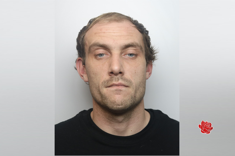 Profile image of Shane Moss