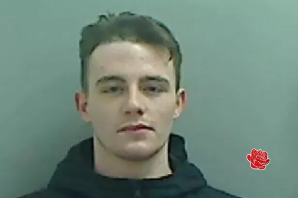 Profile image of Robbie Gibson