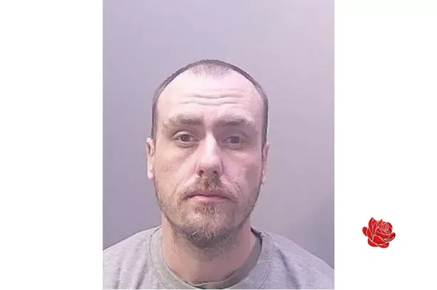 Profile image of Joshua Risdale