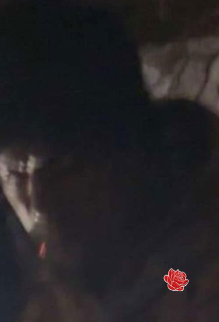 Profile image of Shahid Hassan