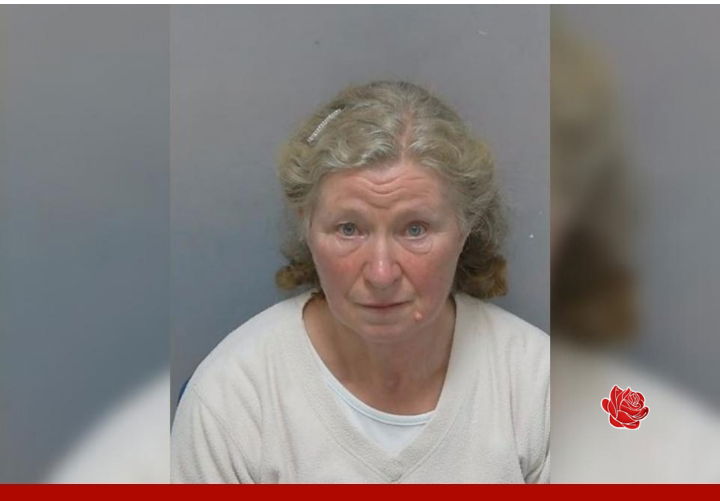Profile image of Glenys Downie