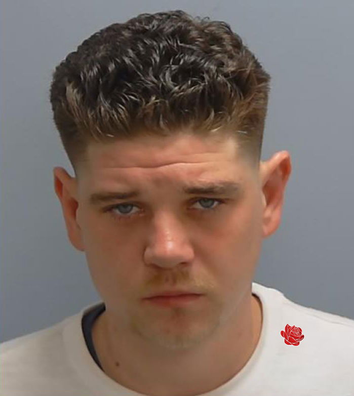 Profile image of Declan Westwell