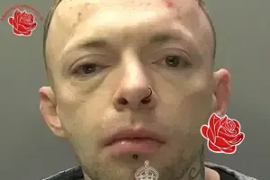 Profile image of Luke Jones