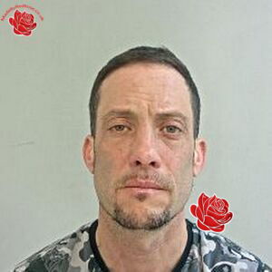 Profile image of Michael Harvey