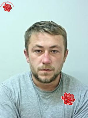 Profile image of Jack Burns