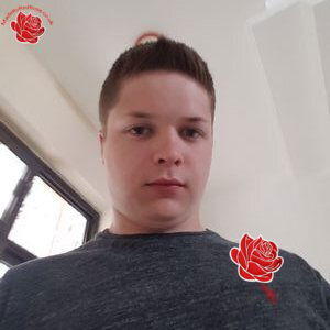 Profile image of Thomas Lloyd-Perks