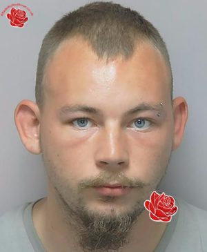 Profile image of Austin Paddock