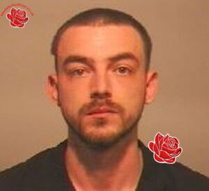 Profile image of Adam Bushell