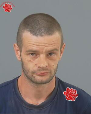 Profile image of David Gordon Howse