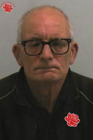 Profile image of David Matthews