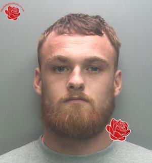 Profile image of Ryan Neale