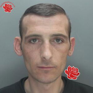 Profile image of Alan Mcloughlin
